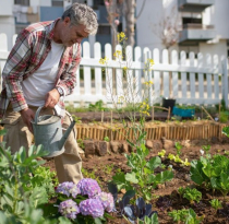 So bringst du mehr Atmosphäre und Leben in deinen Garten So bringst du mehr Atmosphäre und Leben in deinen Garten