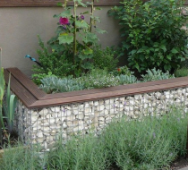 Lebende Steinwände: Wie Gabionen zum grünen Blickfang im Garten werden Lebende Steinwände: Wie Gabionen zum grünen Blickfang im Garten werden