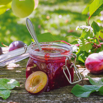Obstschätze haltbar machen Obstschätze haltbar machen