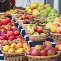 Gartentipp: Obstsorten bestimmen Gartentipp: Obstsorten bestimmen