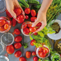 Tomatenernte haltbar machen Tomatenernte haltbar machen