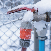 Gartentipp: alles winterfest machen Gartentipp: alles winterfest machen