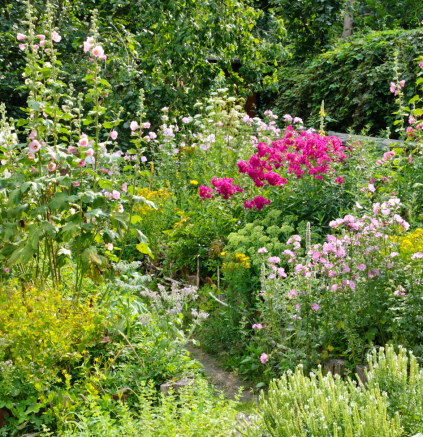 Naturnahes Gärtnern
